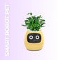 mini plant robot