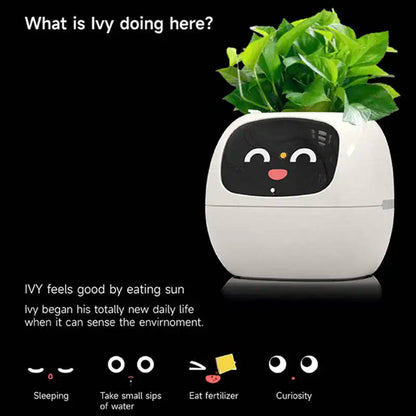mini planter