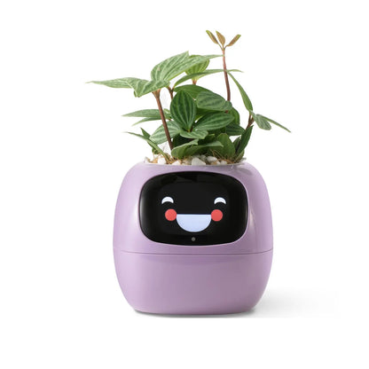 smart flower