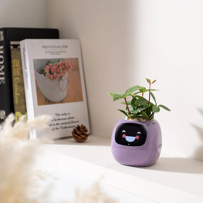 smart flowers