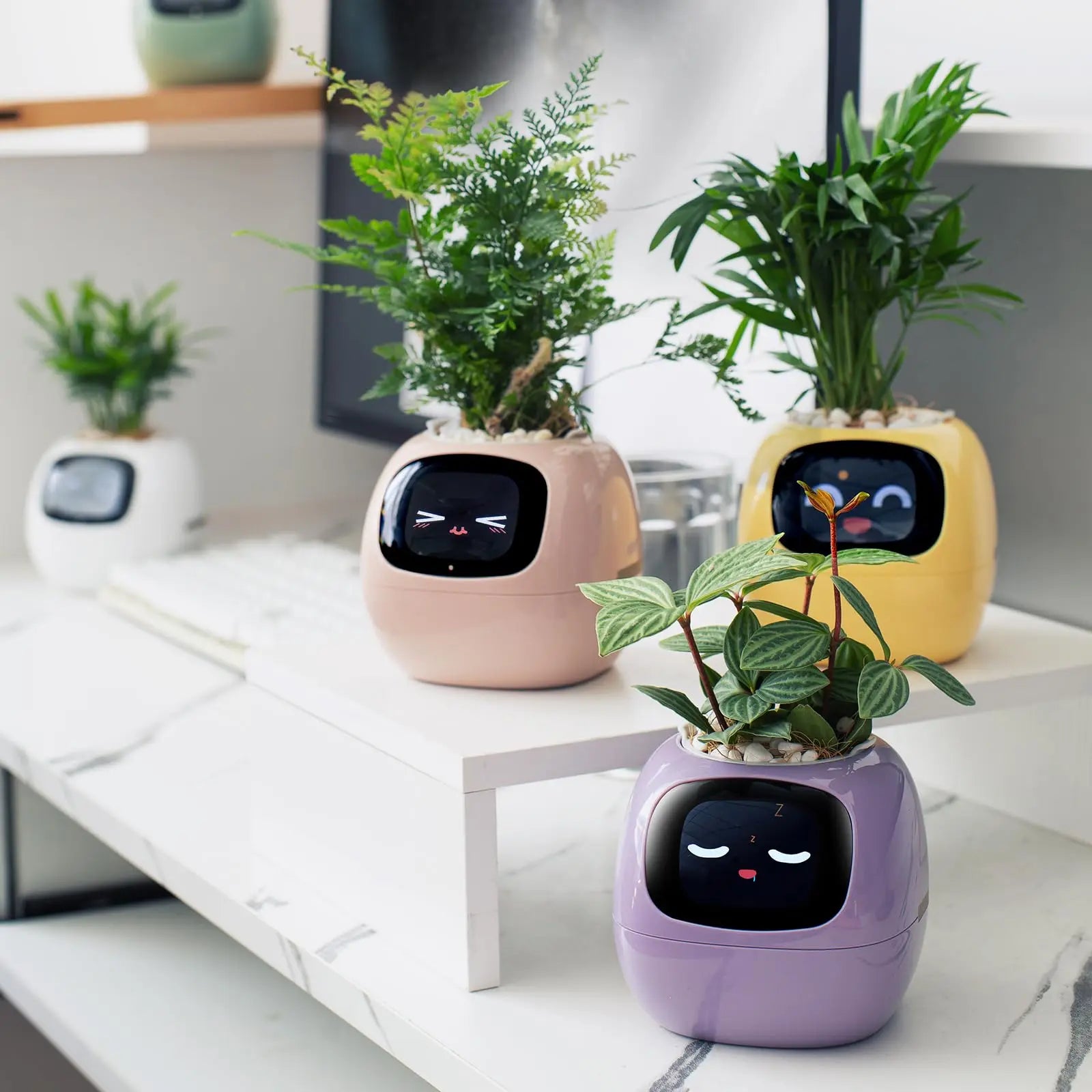 smart plants 
